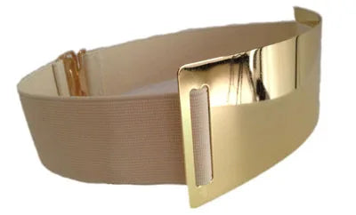 Unique Gold Silver Belt’s/Classy Elastic Brand Belt’s//5 color’s Available/Perfect For Dresses.
