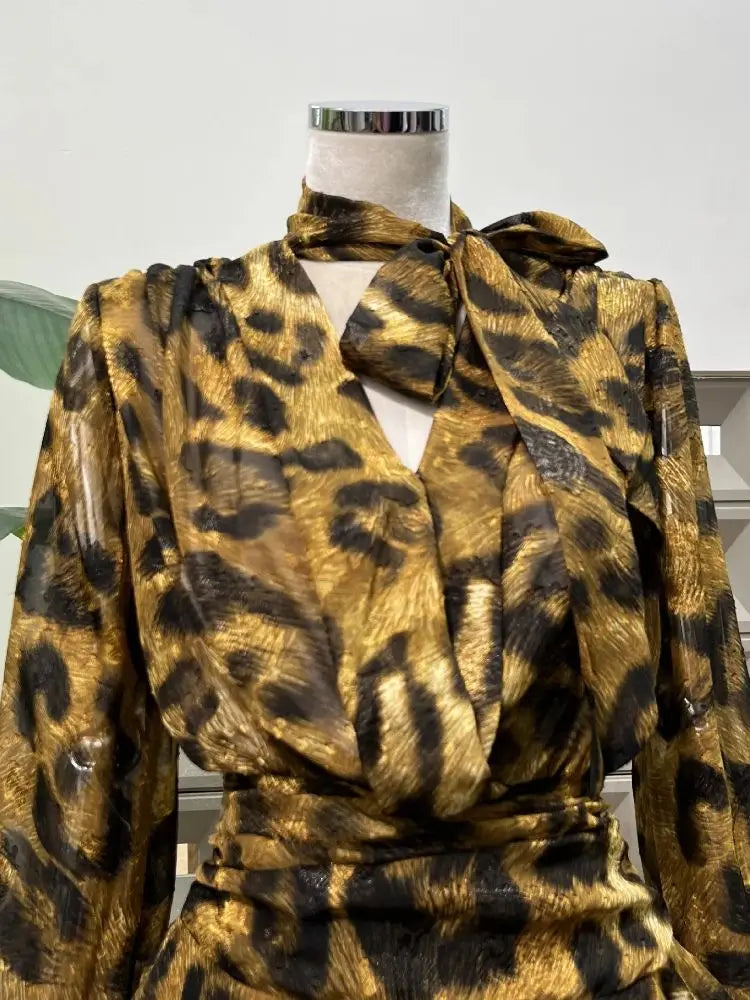 Hot Leopard Print Dress/Sexy V-neck/Long Sleeve Mini Dress/Evening Party Dress/Nightclub/Cocktail Gowns.