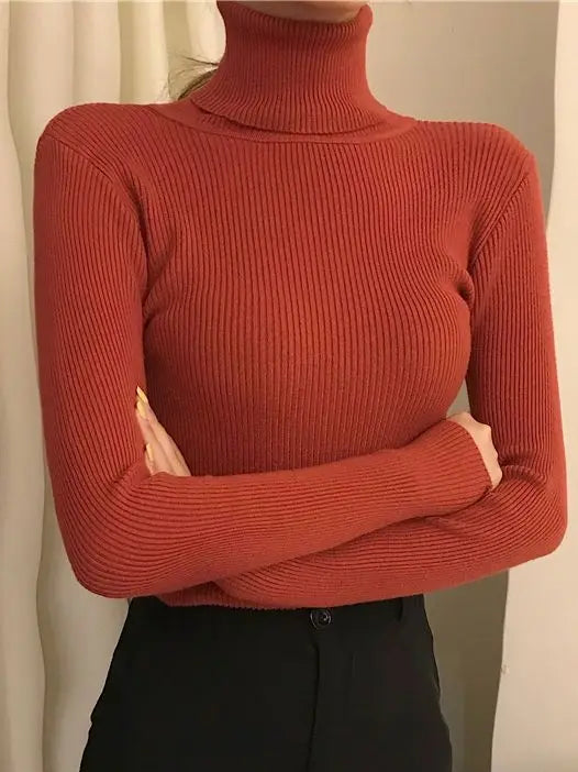 Pullover High Neck~Knitted Ribbed Turtleneck/Soft Pullovers Cashmere Jumpers. Stretch in size.