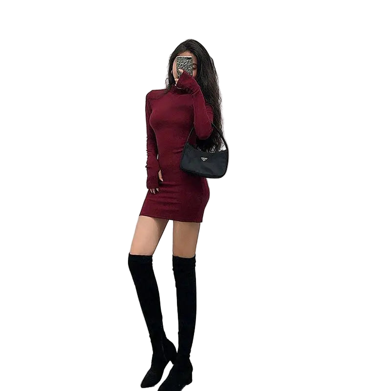 Stylish Solid Turtleneck Dress/Tight Fitting Long Sleeve European Body~Con Dress.