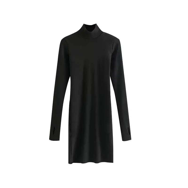 Stylish Solid Turtleneck Dress/Tight Fitting Long Sleeve European Body~Con Dress.